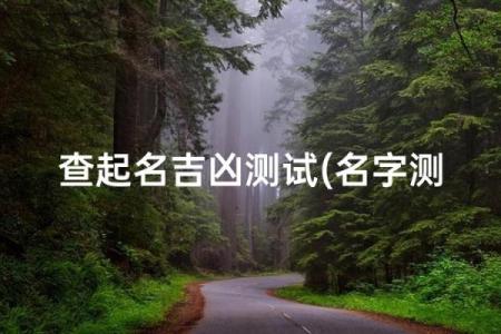 查男孩名字打分测试打分测试