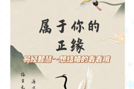 八字动婚