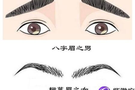 八字眉的女人命好不好风水解读
