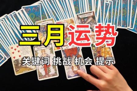塔罗测试：满月许愿，你的好运指向哪？