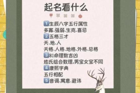 五行取名查询打分测试,五行取名免费取名打分