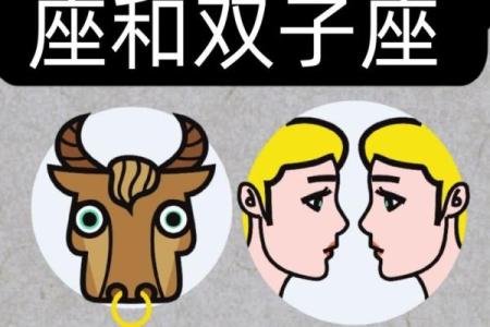 金牛座男生和双子座女生配对 金牛男和双子女配吗