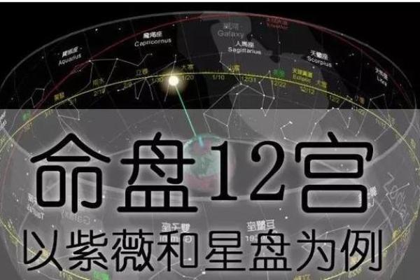 紫微斗数姻缘星 紫薇星盘姻缘？