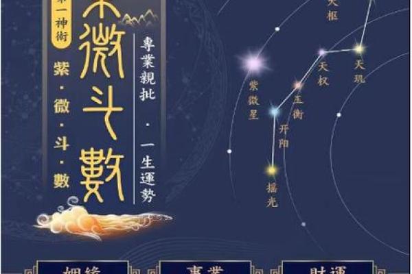 紫微斗数姻缘星 紫薇星盘姻缘？