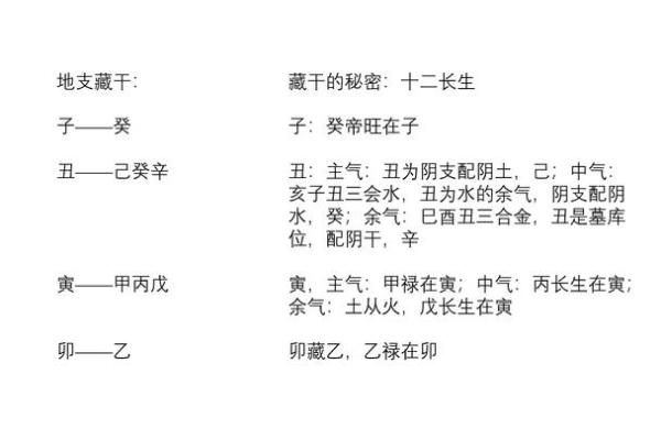 八字子午卯酉