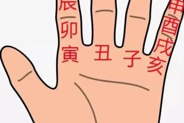 八字最好的命例是什么