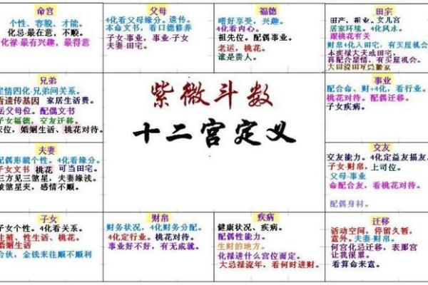 紫微斗数排盘天魁星坐命宫分析,十二宫分析