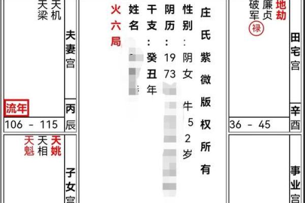 紫薇斗数大运查询表