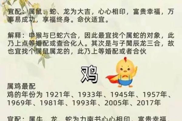 生肖配对查询男女