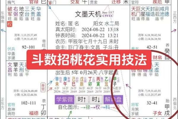 紫薇斗数看还能东山在起吗