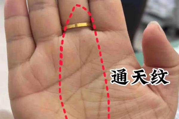 手相风水有川字纹的女人好不好