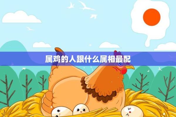 男属鸡的和什么属相最配 男性属鸡的最佳配对是哪个属相