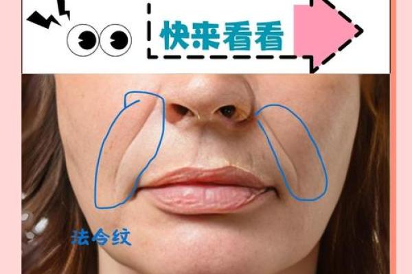 女八字纹