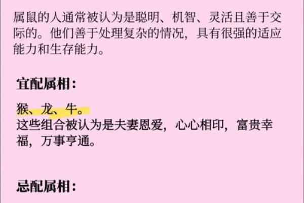 父母与子女属相配对