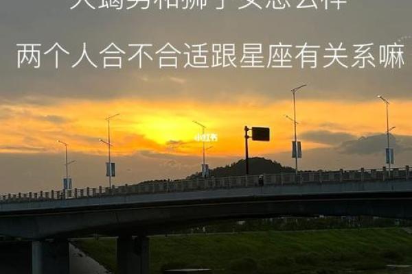 狮子男和天蝎座女配对合适吗