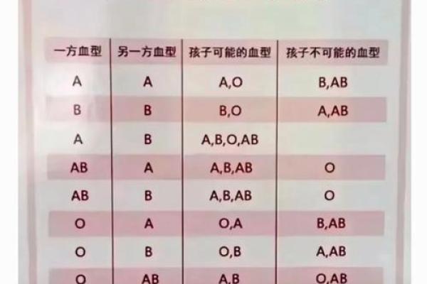 血型b+和b-是什么意思