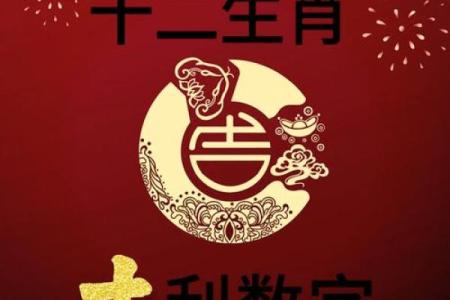 八字寅数字是几