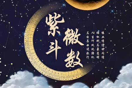 紫薇斗数应用