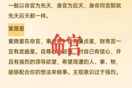 紫薇斗数单守什么意思
