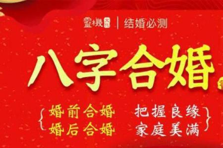 如何通过八字合婚生子