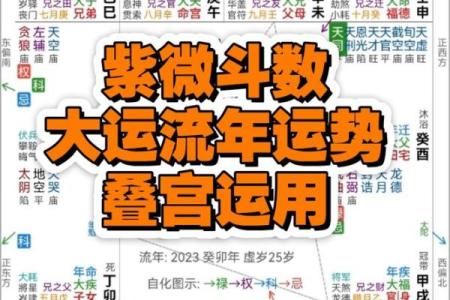 紫薇斗数大运查询表