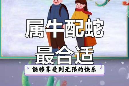 属蛇的男人应该与哪个生肖进行配对