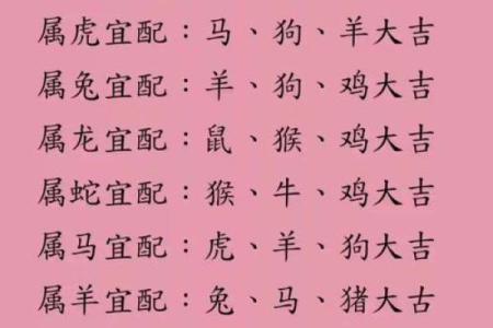 生肖配对查询男女