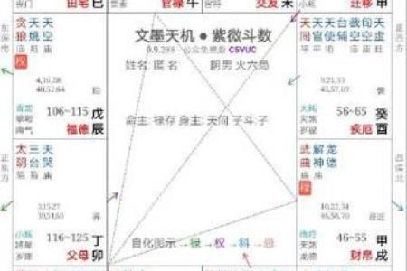紫薇斗数冲破天罗地网