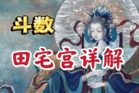 紫微斗数田宅天才 紫微斗数十二宫之田宅宫？