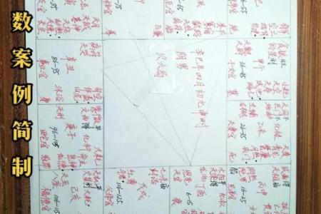 紫微斗数之后天运势－－岁限的分析推断，岁限的经验论断：岁限的