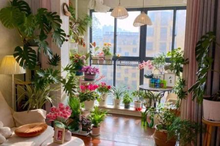 假花摆放在房屋里哪里不会影响到风水呢