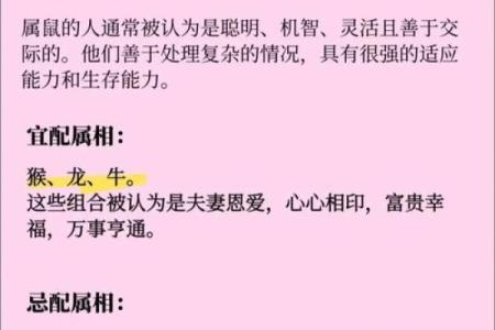 父母与子女属相配对