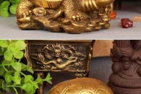 风水的方位_乌龟代表哪个方向