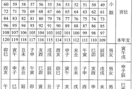 紫微斗数美国神婆在线排盘 星盘美国神婆？