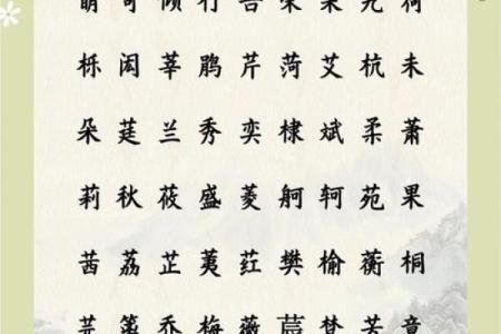女孩缺木取名大全文雅,八字看下半年运势