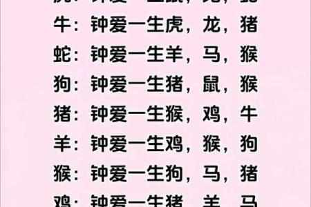 牛属与哪些生肖最佳配对