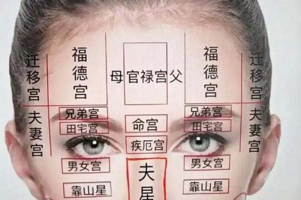 眼皮的面相解析 通过眼皮看面相算命