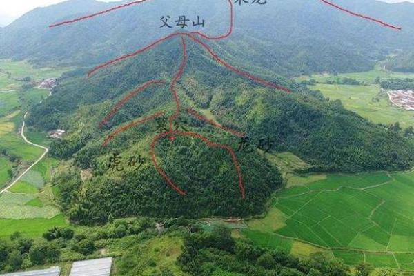 巧断墓地风水