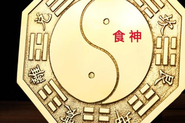 八字大运食神