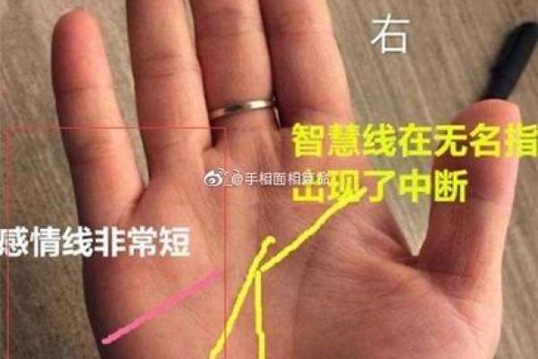 算命时为什么会离婚呢