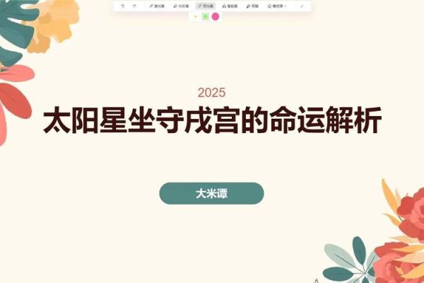 紫微斗数太阳星