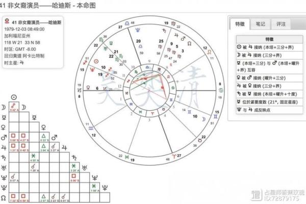 适合做网红的星盘配置