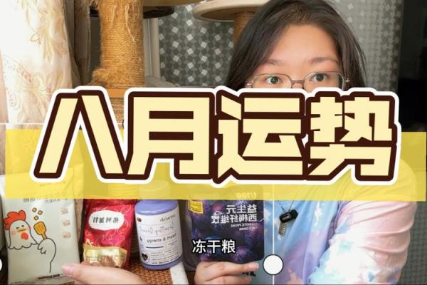 塔罗牌测试八月你的财运如何？