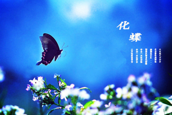 “蝶双网”——专业的百科知识平台