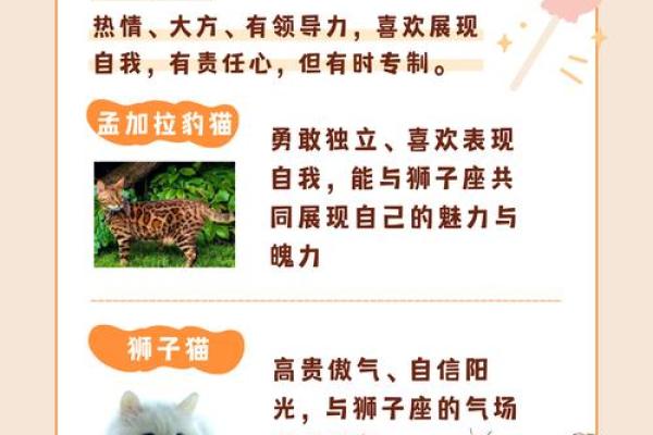 狮子座最喜欢的5个星座 狮子座最讨厌的5个星座