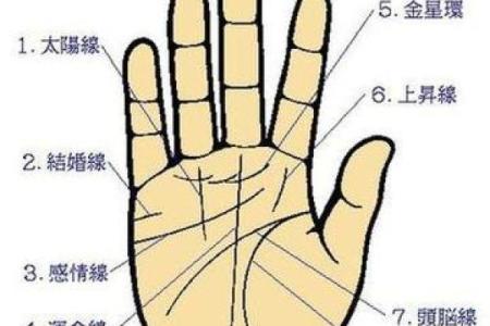 看手相算命图解：掌线