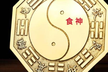 八字大运食神