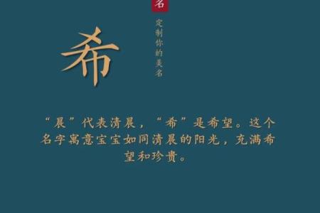 10月份出生的属龙男孩如何取名字姓名