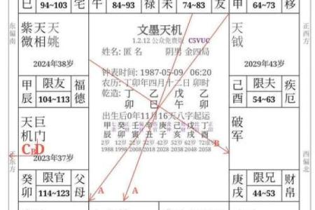 紫薇权贪狼在疾厄宫