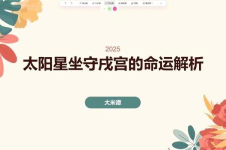 紫微斗数太阳星